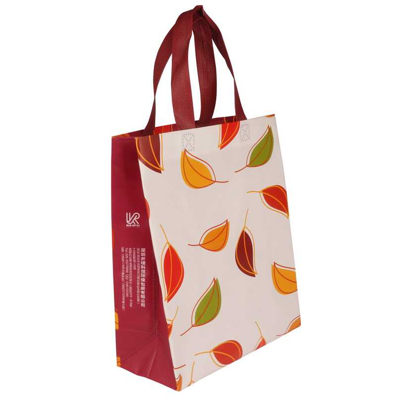 non woven bag 0035 bestpricebag