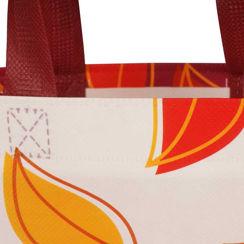 non woven bag 0036 bestpricebag